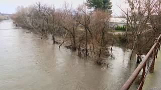 Red alert for risk of Jarama river overflow: eight dams in Madrid are releasing water
