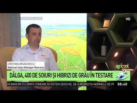 Dâlga, 400 de soiuri şi hibrizi de grâu în testare