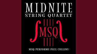 Another Day in Paradise