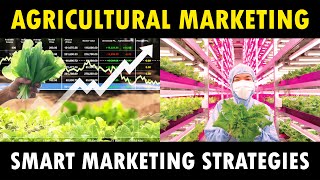 Agricultural Marketing plan | 11 steps to market successfully any products | Discover Agriculture