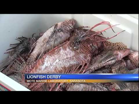 Good Morning Suncoast at 6am - July 10, 2017