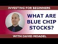What are Blue Chip Stocks? Investing for Beginners Series #7 // What is a blue chip stock?