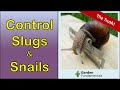Slugs & Snails 🧨️💩💊 Which Home Remedies Work Best?