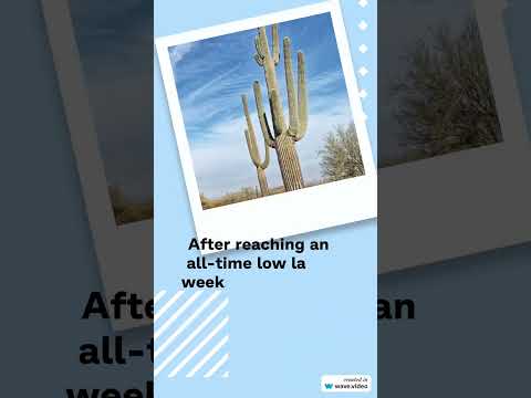 Cannabis Benchmarks US Spot Index Report for January 10, 2025 #cannabiscommunity #marijuanastocks