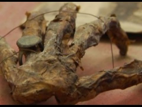 9 Unbelievable Pirate Discoveries