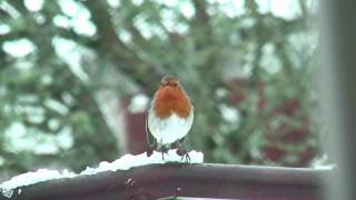 preview picture of video 'Aberfeldy Winter 2009'