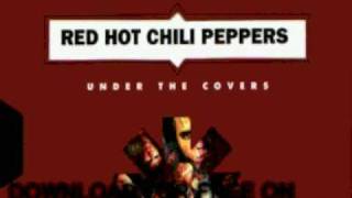 red hot chili peppers - tiny dancer (live) - under the cover