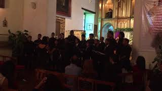 Chordium: Ave Maria [Guillermo Nava]