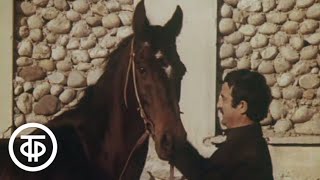 По следам Карабаира (1979)