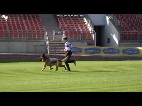 1059 London vom Haus Licher - TSB BSZS-2023