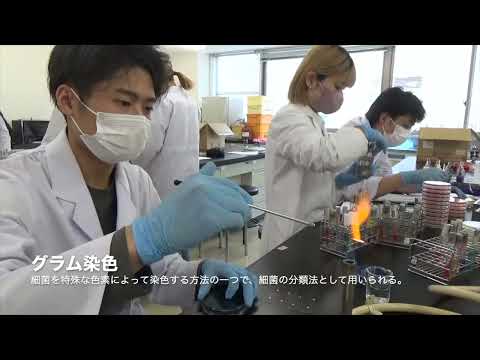 【山口大学OC2025／医学部／保健学科】君たちも学べる微生物！