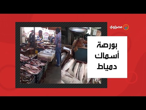 بورصة الأسماك اليوم من أشهر أسواق دمياط