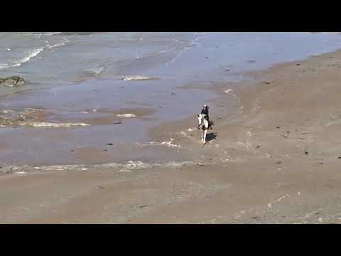 Cavalière sur la plage de la rousselerie st Brevin l'Océan
