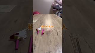#ガシャポン #ガチャガチャ  #カードキャプターさくら　#スタッフコレクション　#封印の杖　#開封動画