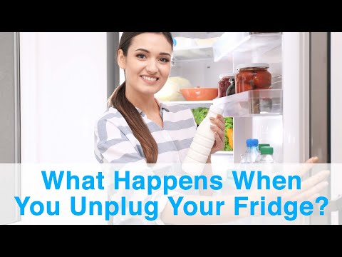 What Happens When You Unplug Your Refrigerator?
