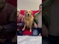 The Best Pet In The World