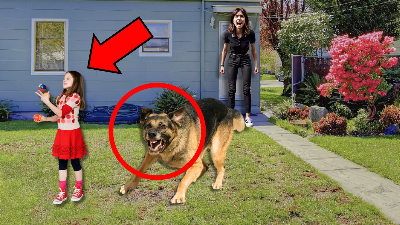 😭MADRE ALIMENTA PERRO CALLEJERO, DÍAS DESPUÉS EL PERRO LE HACE ALGO ATERRADOR A HIJA DE ESTA MUJER..