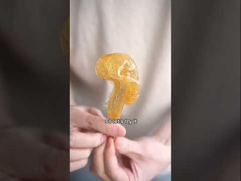 Snow Candy from @NickDiGiovanni @GoldenGully