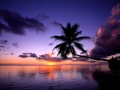 ATB feat. Cristina Soto - Twisted Love