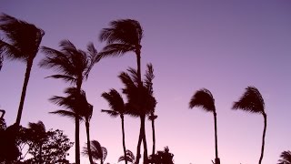 Freshly Baked 017 - Chill / Instrumental Hip Hop - Mix