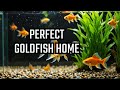 How To Set Up A Goldfish Tank The RIGHT WAY