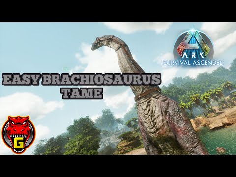EASY Brachiosaurus Tame Guide! Ark Survival Ascended!