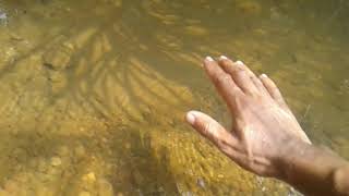 Download lagu eksperiment doa memanggil ikan mp3