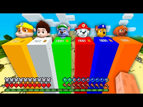 I found SUPER LONG HOUSE OF PAW PATROL RYDER and FRIENDS in Minecraft