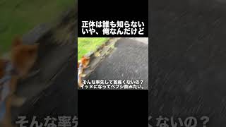 誰もみたことあるけど、誰も話しかけない存在