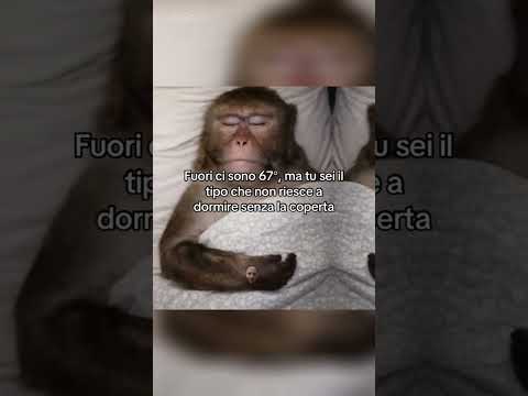 #funnymemes #bestmoments #funnyshorts #funnyvideo #funnymoments #meme #memes #funny #follow #shorts