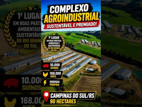 🏆 A GRANJA MAIS SUSTENTÁVEL DO RS? | 10 MIL SUÍNOS E ENERGIA PRÓPRIA