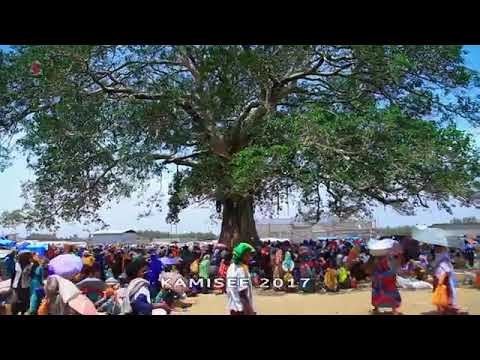 Abarraa Warquu new oromo music