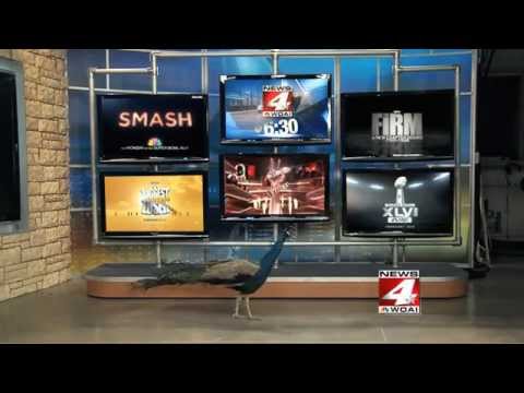 2012 PromaxBDALocal GOLD Award Winner — ENTERTAINMENT PROGRAM SPOT