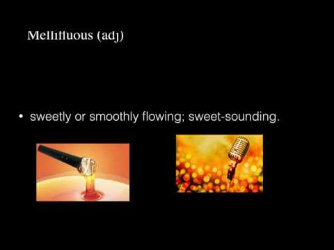 Vocabulary Week 14 Mr. Capozzi