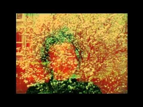 WE - ANTHROPROPHH  ..