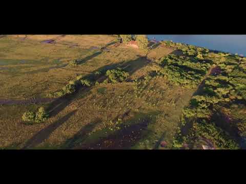 ISLA DE LOBOS 2 RIO NEGRO