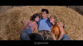 There's Gold in the Mountains - Elvis Presley (Sottotitolato)