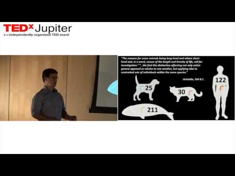Aging and age related diseases: Dr. Pedro Reis Rodrigues at TEDxJupiter