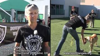 Steph Cooper Bound Angels University Testimonial