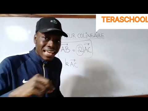 Reconnaître deux vecteurs colinéaires-Maths