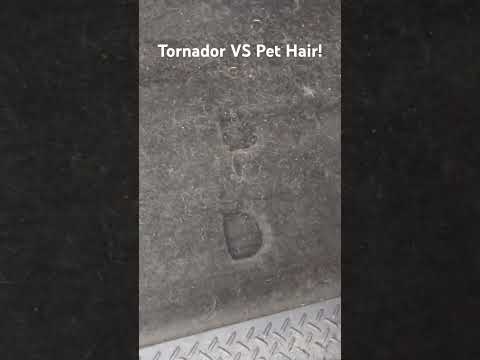 Insane Dog Hair VS Tornador Air Blower For Car Detailers #detailing #carcleaning