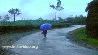 The Monsoons of Kerala - Part III