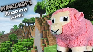 [ASMR] The Anatomy of a Minecraft Sheep 🐑 | Nature ASMR, Layered Sounds