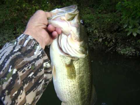 Stripers and Bass with Gary Hanson
