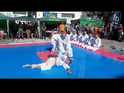 Aikido DOJO Šaštín-Stráže