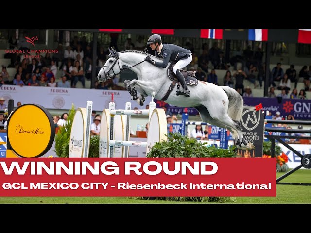 Mother of this implanted embryo is the full sister of the CSI 1.70m jumping Stallion Mumbai with rider Christian Kukuk.