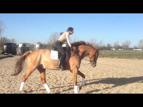 Fugaro v. Fleury/ Rotspon