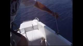DEEP SEA FISHING MALTA 5