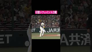 【かわいいvsかわいい】かわいいの勝ち！ #shorts