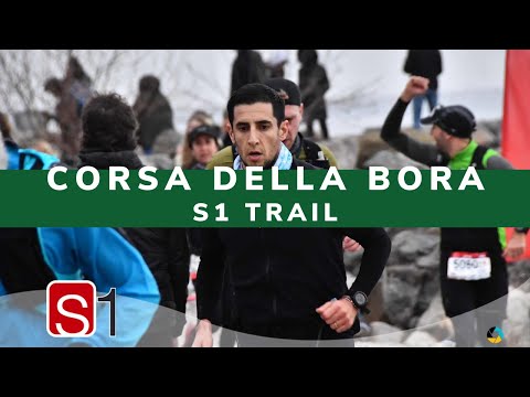La mia prima MEZZA MARATONA! CORSA DELLA BORA sul Carso triestino #trailrunning @S1trail